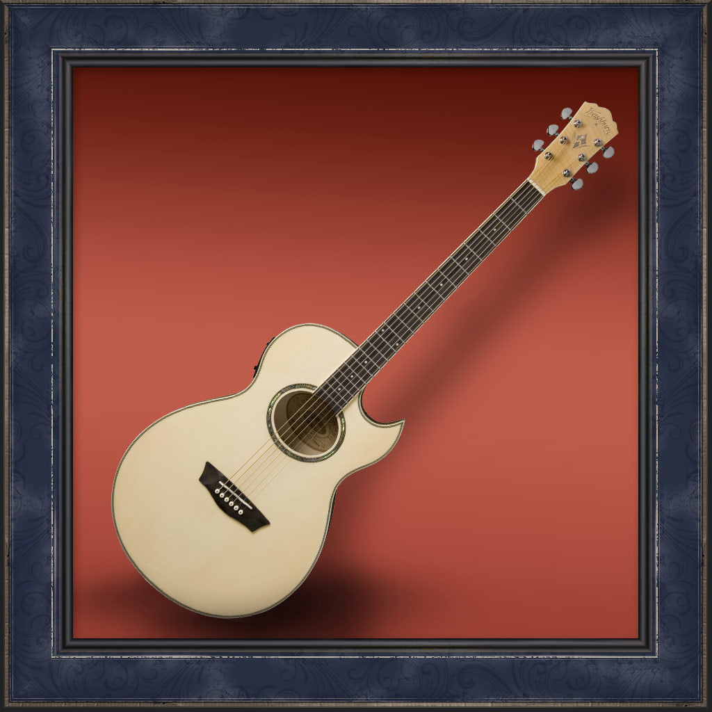 Guitar, Washburn Festival