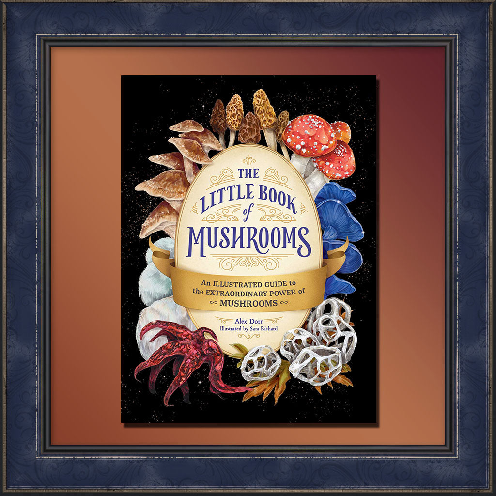 Little Book of Mushrooms