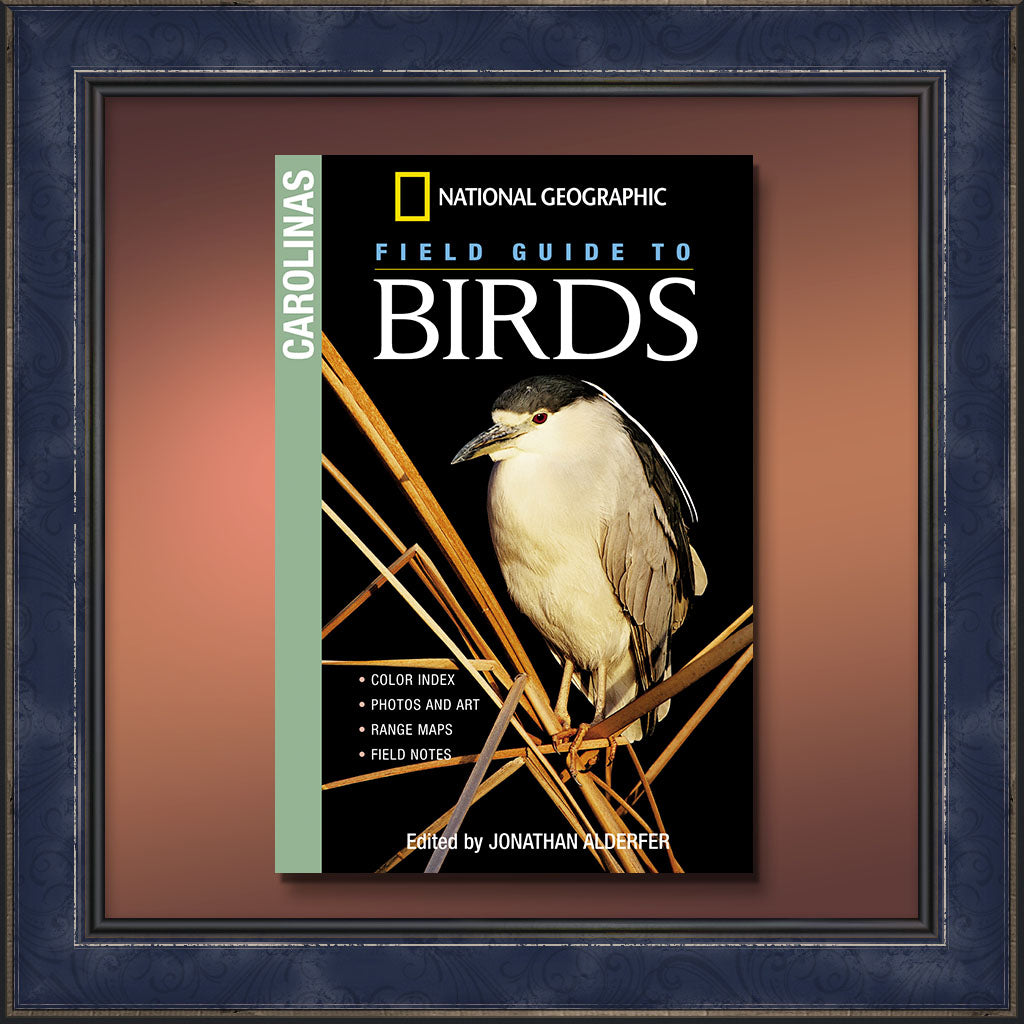 National Geographic Field Guide to Birds: The Carolinas