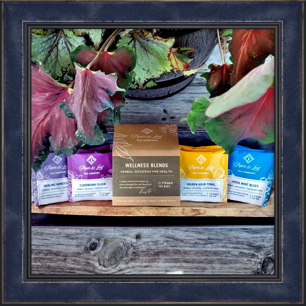 Tea - Wellness Blends Box - 12 Tea Bags