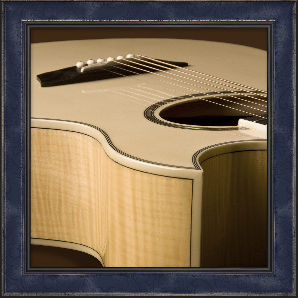 Guitar, Washburn Festival